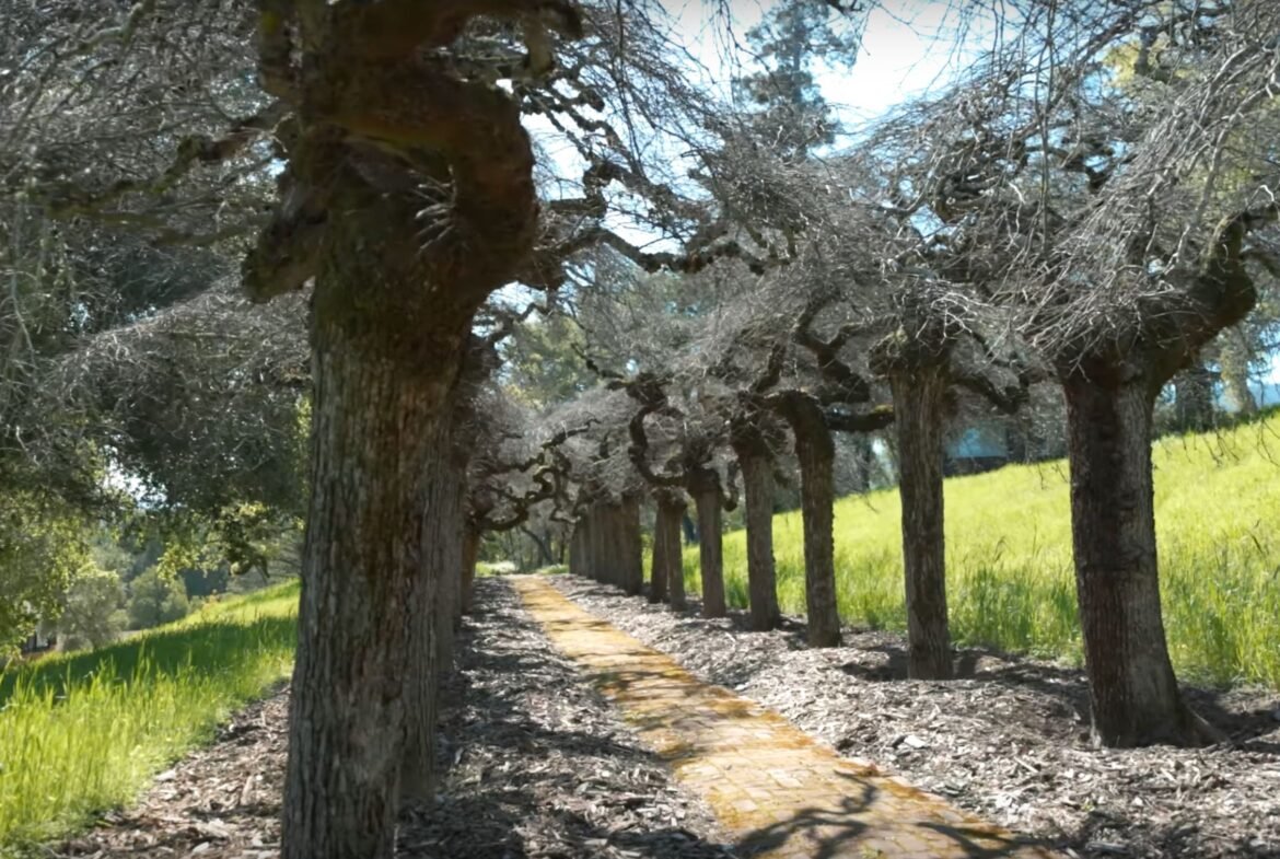 Silicon Valley private mansion near San Francisco and San Jose in California - Luxury real estate