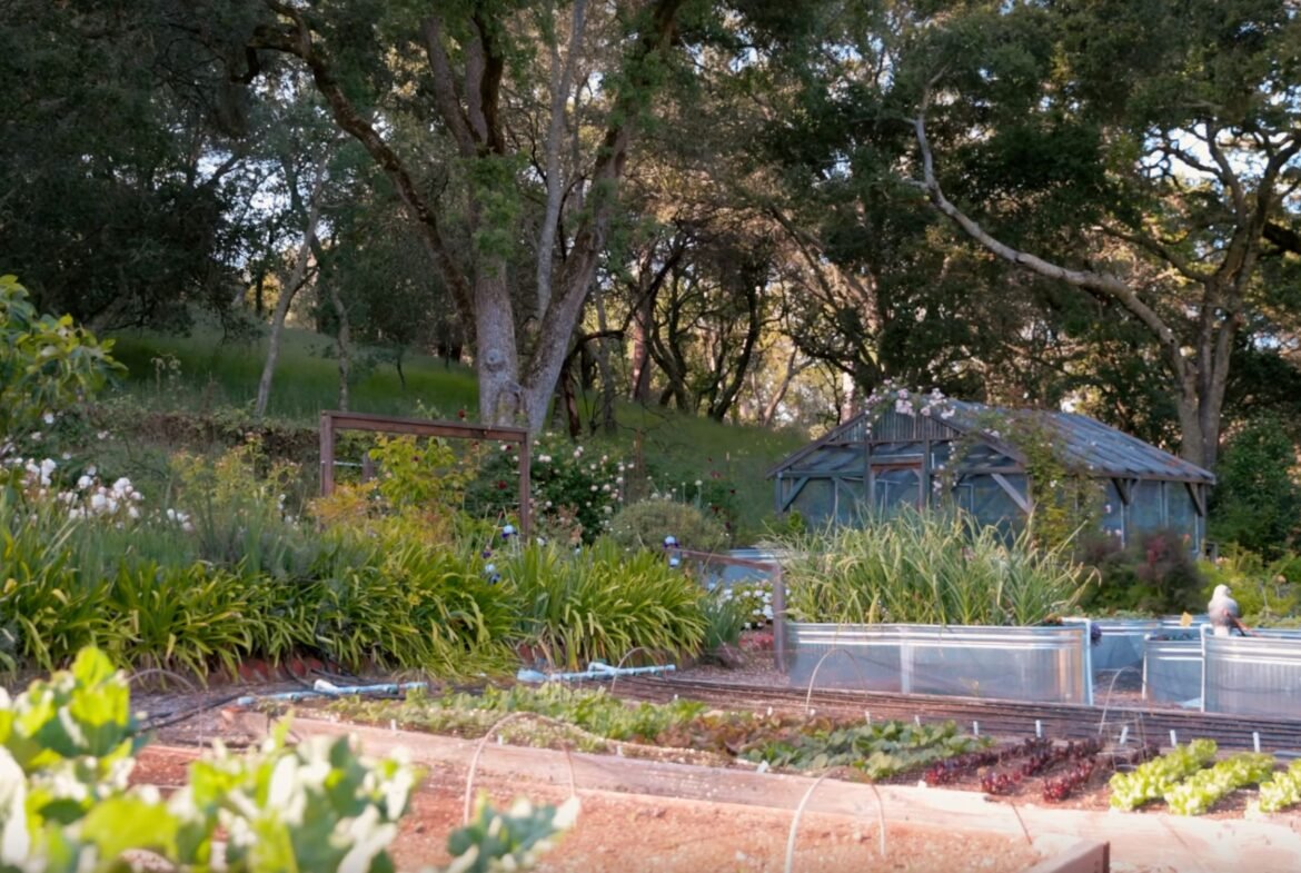 Silicon Valley private mansion near San Francisco and San Jose in California - Luxury real estate