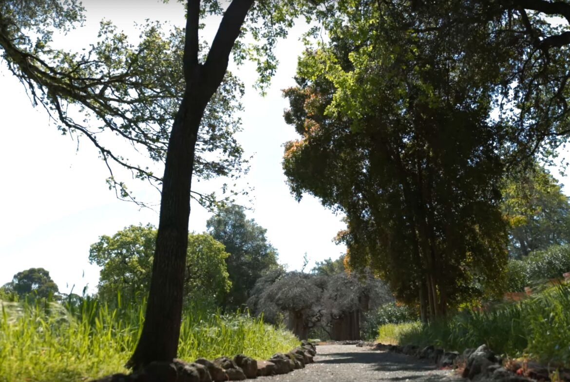Silicon Valley private mansion near San Francisco and San Jose in California - Luxury real estate