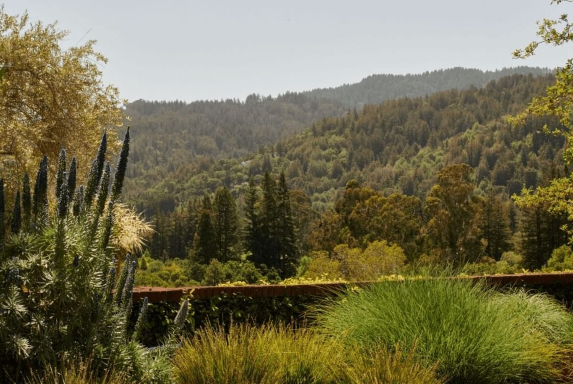 Silicon Valley private mansion near San Francisco and San Jose in California - Luxury real estate