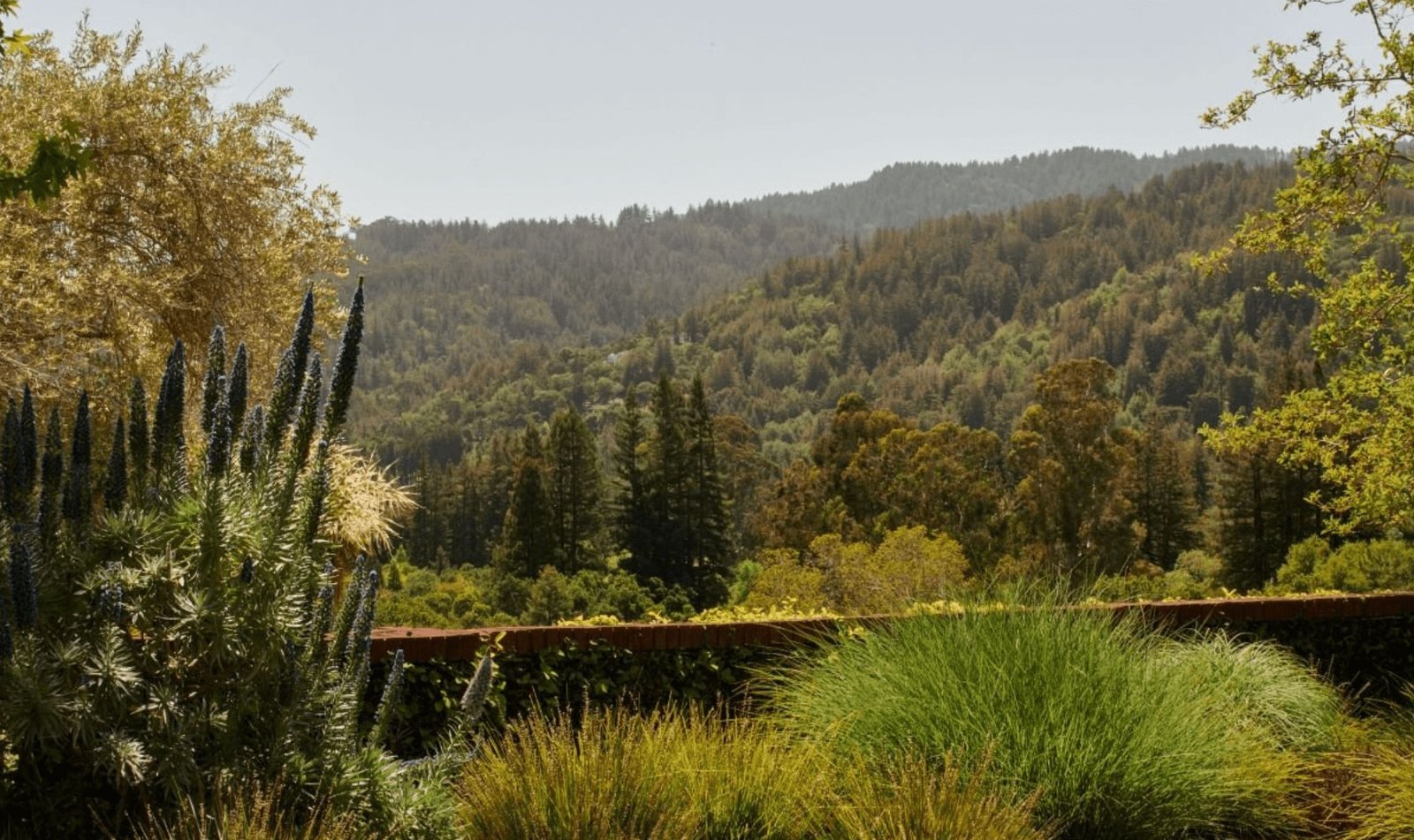 Silicon Valley private mansion near San Francisco and San Jose in California - Luxury real estate